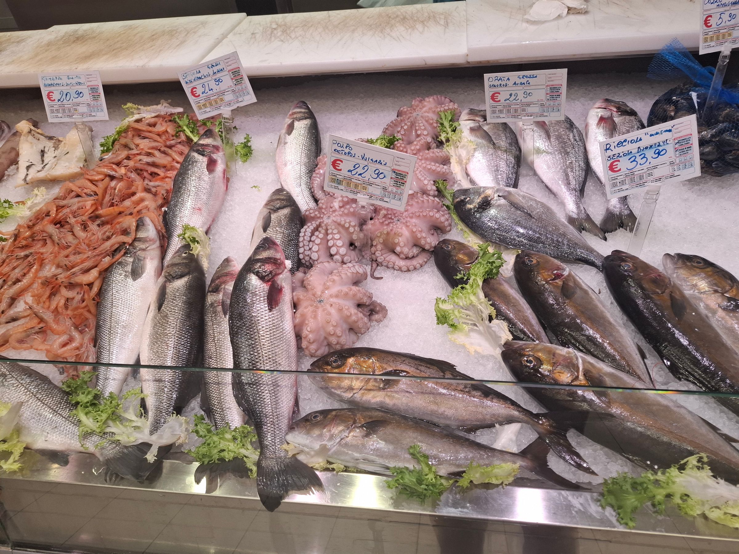 That fish like this is available at a regular supermarket...