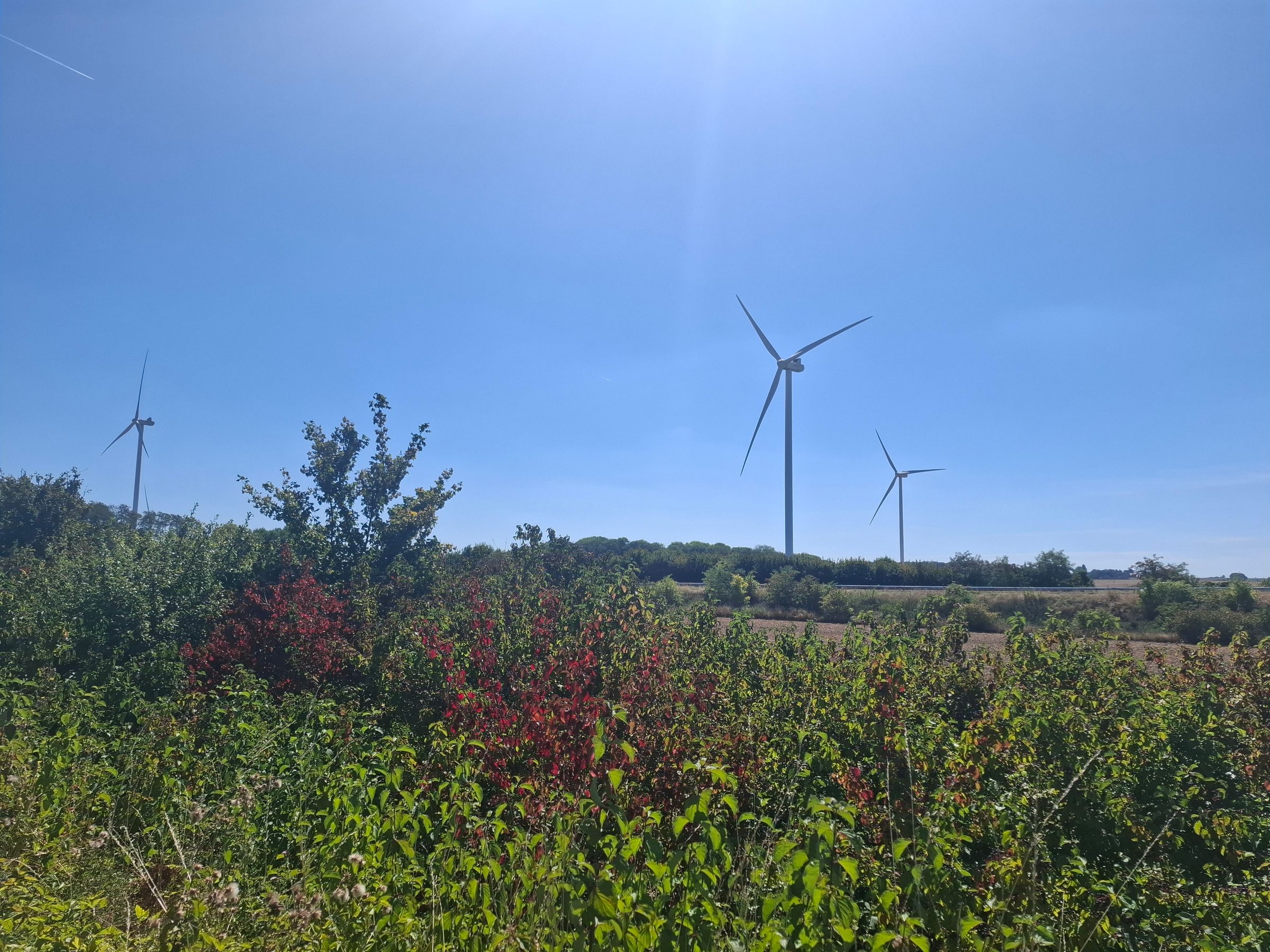 Windmills on the side of the road, during the second clutch adjustment